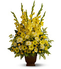 Teleflora's Sunny Memories from Olney's Flowers of Rome in Rome, NY